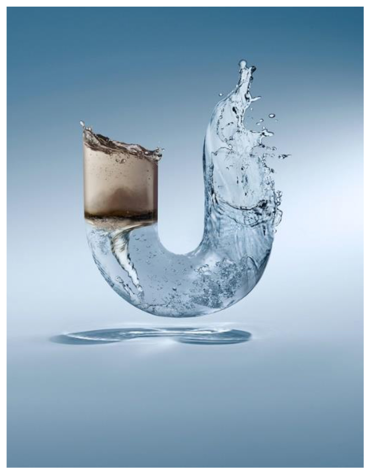 The Purest Way to Hydrate, Revitalize, and Thrive Naturally