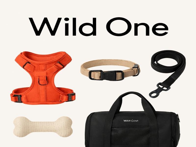 Wild One The Essence of Freedom Individuality and Unbridled Spirit